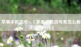 苹果手机信号1x（苹果手机信号差怎么解决这个问题）