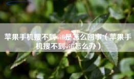苹果手机搜不到wifi是怎么回事（苹果手机搜不到wifi怎么办）