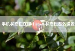 手机状态栏在哪（iphone状态栏怎么设置）