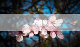 政经谭