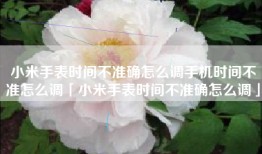 小米手表时间不准确怎么调手机时间不准怎么调「小米手表时间不准确怎么调」