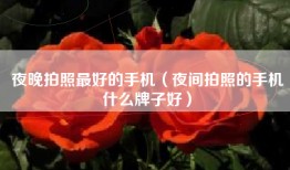 夜晚拍照最好的手机（夜间拍照的手机什么牌子好）