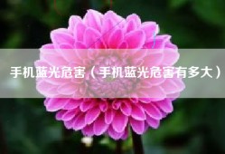 手机蓝光危害（手机蓝光危害有多大）