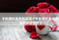 手机喇叭有杂音滋滋（手机喇叭有杂音滋滋声音变小）