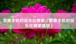 苹果手机的音乐在哪里（苹果手机的音乐在哪里播放）