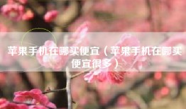苹果手机在哪买便宜（苹果手机在哪买便宜很多）