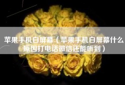 苹果手机白屏幕（苹果手机白屏幕什么原因打电话微信还能听到）