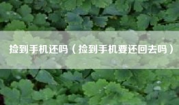 捡到手机还吗（捡到手机要还回去吗）
