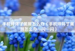 手机摔坏了黑屏怎么办（手机摔坏了黑屏怎么办一闪一闪）