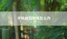 手机掉到厕所怎么办