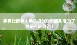 手机贷催收（手机贷催收说要到地方了解是不是真的）