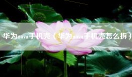 华为nova手机壳（华为nova手机壳怎么拆）