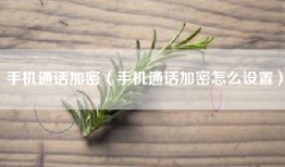 手机通话加密（手机通话加密怎么设置）