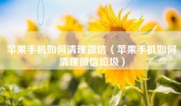 苹果手机如何清理微信（苹果手机如何清理微信垃圾）