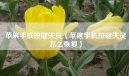 苹果手机按键失灵（苹果手机按键失灵怎么恢复）
