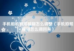 手机相机拍照模糊怎么调整（手机拍照模糊怎么调回来）