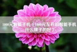 1000元智能手机（1000元左右的智能手机什么牌子的好）