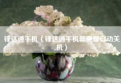 锋达通手机（锋达通手机低电量自动关机）