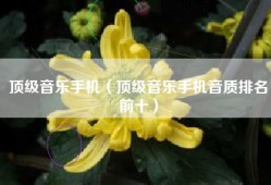 顶级音乐手机（顶级音乐手机音质排名前十）