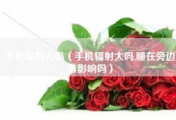 手机辐射大吗（手机辐射大吗,睡在旁边有影响吗）