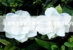 《新媒体营销》课件——新媒体营销的核心法则.pptxVIP