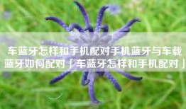 车蓝牙怎样和手机配对手机蓝牙与车载蓝牙如何配对「车蓝牙怎样和手机配对」