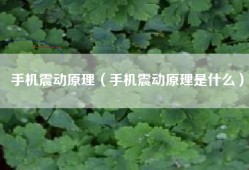 手机震动原理（手机震动原理是什么）