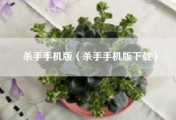 杀手手机版（杀手手机版下载）