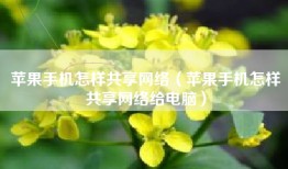 苹果手机怎样共享网络（苹果手机怎样共享网络给电脑）