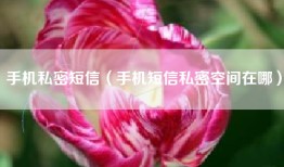 手机私密短信（手机短信私密空间在哪）