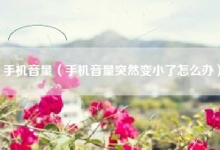 手机音量（手机音量突然变小了怎么办）