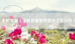 手机音量（手机音量突然变小了怎么办）