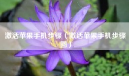 激活苹果手机步骤（激活苹果手机步骤图）