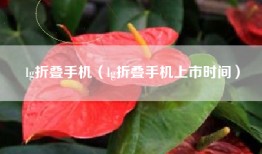 lg折叠手机（lg折叠手机上市时间）