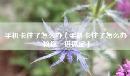 手机卡住了怎么办（手机卡住了怎么办教你一招搞定）
