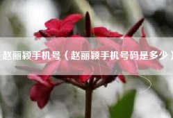 赵丽颖手机号（赵丽颖手机号码是多少）