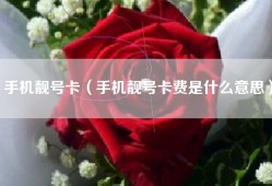 手机靓号卡（手机靓号卡费是什么意思）
