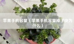 苹果手机容量（苹果手机容量掉了快为什么）