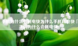 手机为什么会耗电快为什么手机耗电快「手机为什么会耗电快」