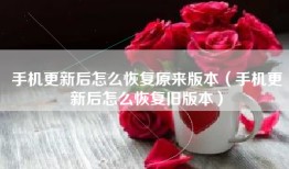 手机更新后怎么恢复原来版本（手机更新后怎么恢复旧版本）