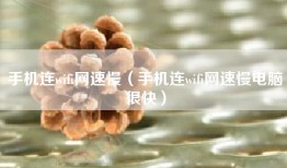 手机连wifi网速慢（手机连wifi网速慢电脑很快）