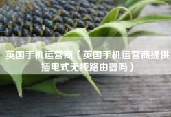 英国手机运营商（英国手机运营商提供插电式无线路由器吗）