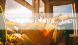 苹果软件（苹果软件app）
