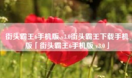 街头霸王6手机版 v3.0街头霸王下载手机版「街头霸王6手机版 v3.0」