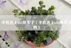 手机连上wifi用不了（手机连上wifi用不了网）