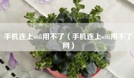 手机连上wifi用不了（手机连上wifi用不了网）