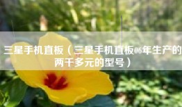 三星手机直板（三星手机直板06年生产的两千多元的型号）
