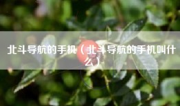 北斗导航的手机（北斗导航的手机叫什么）