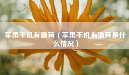 苹果手机有噪音（苹果手机有噪音是什么情况）