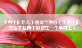 华为手机怎么下载两个微信（华为手机怎么下载两个微信在一个手机上）
